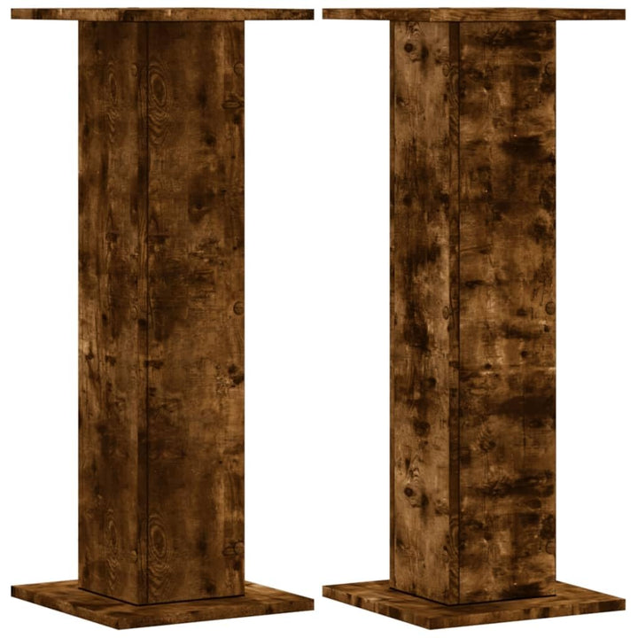 vidaXL Pflanzenständer 2 STK., Blumenständer Hohle Konstruktion, Dekosäule Podest für Pflanzen Dekoa