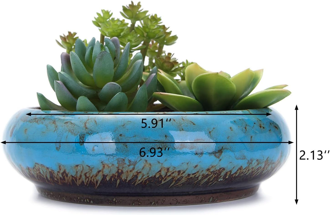 VanEnjoy 18,5 cm grosse, grosse, flache Sukkulenten-Keramik-Übertöpfe mit Ablaufloch, Bonsai-Töpfe f