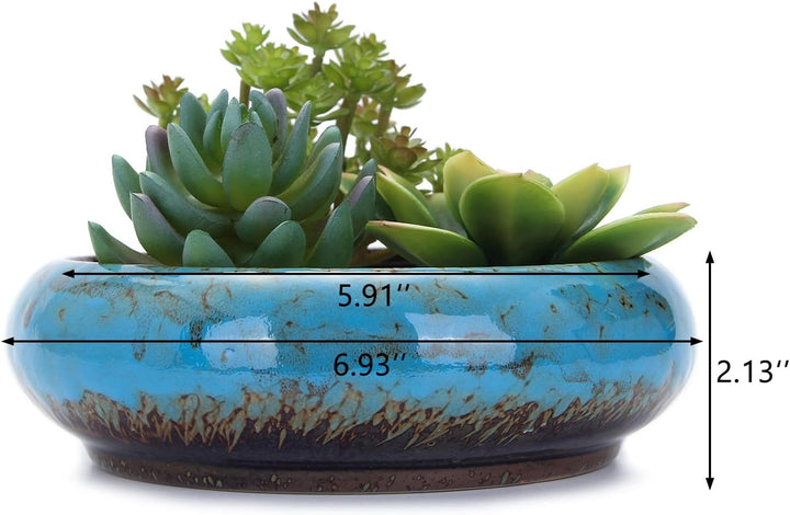 VanEnjoy 18,5 cm grosse, grosse, flache Sukkulenten-Keramik-Übertöpfe mit Ablaufloch, Bonsai-Töpfe f