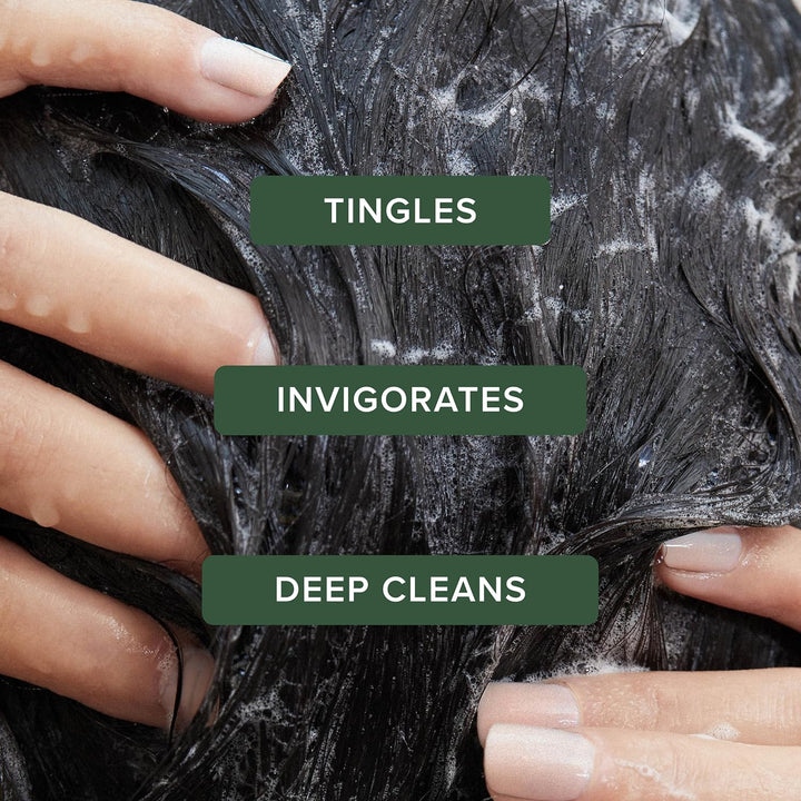 Paul Mitchell Tea Tree Special Shampoo - Cleansing Shampoo für die tägliche Haarwäsche, Haar-Pflege