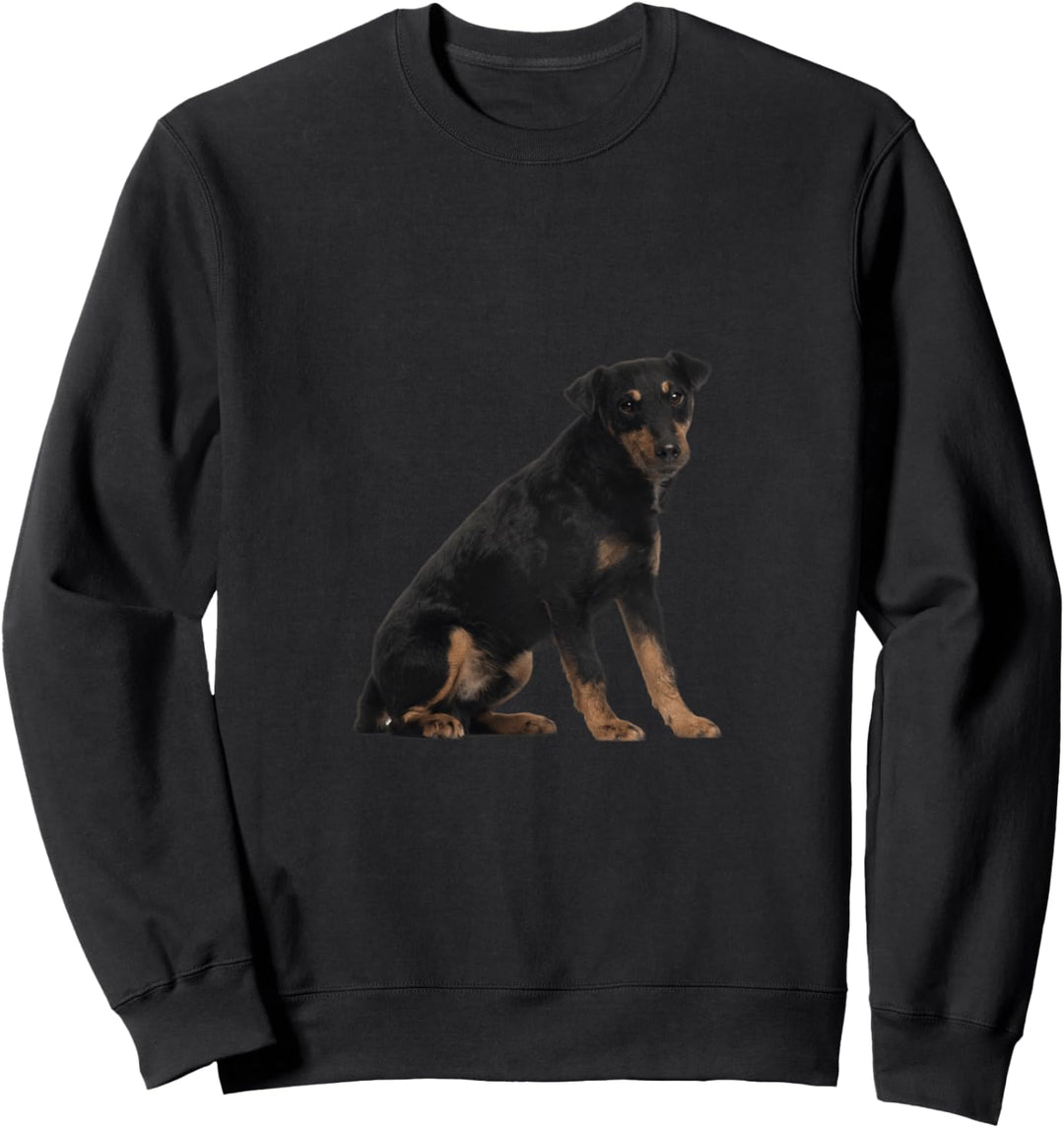 Niedlicher Deutscher Jagdterrier Sweatshirt