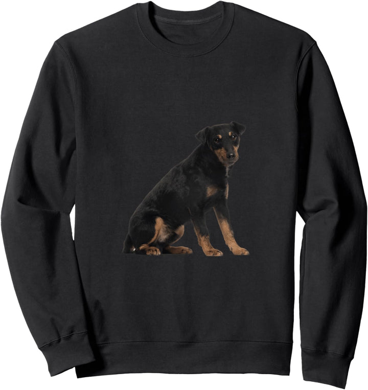 Niedlicher Deutscher Jagdterrier Sweatshirt