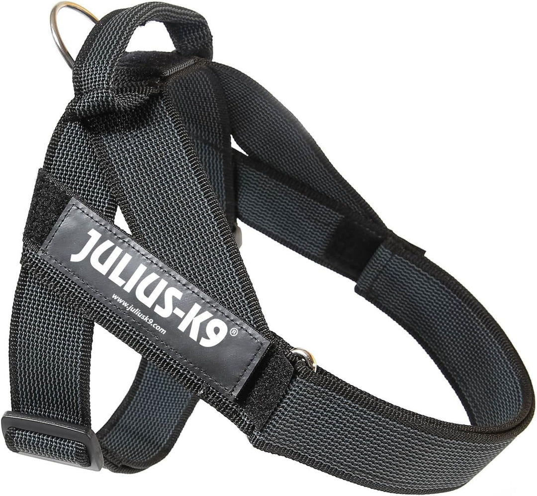 JULIUS K-9, Color & Gray, Beltgeschirr, L / 1 L / 1 schwarz-grau, L / 1 schwarz-grau