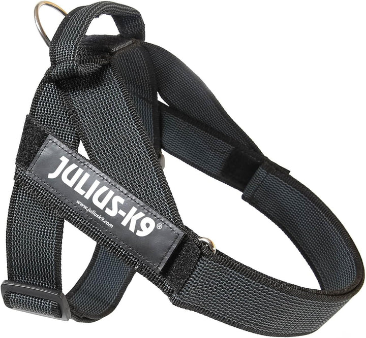 JULIUS K-9, Color & Gray, Beltgeschirr, L / 1 L / 1 schwarz-grau, L / 1 schwarz-grau