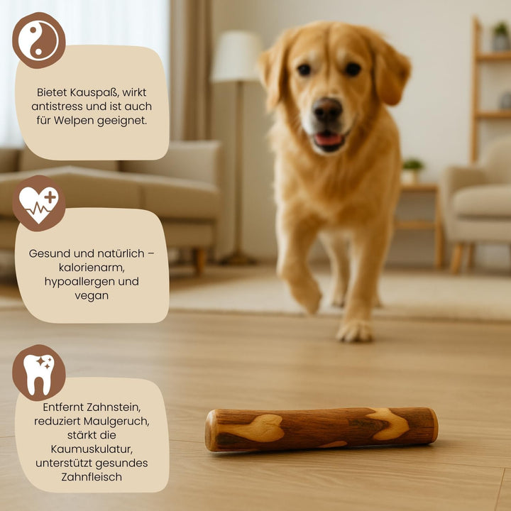 PetLove Kauholz für Hunde aus Olivenholz • Holzknochen als Hundespielzeug • Kauknochen als Zahnpfleg