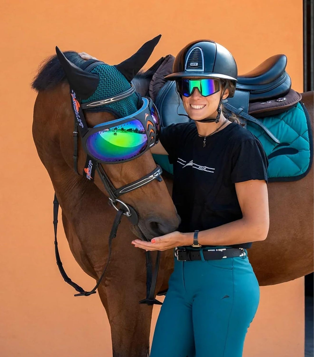 EQUICK Brille Pferd eVysor