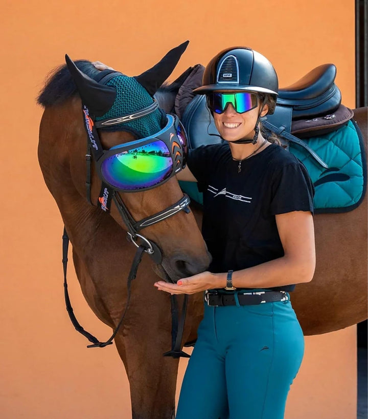 EQUICK Brille Pferd eVysor