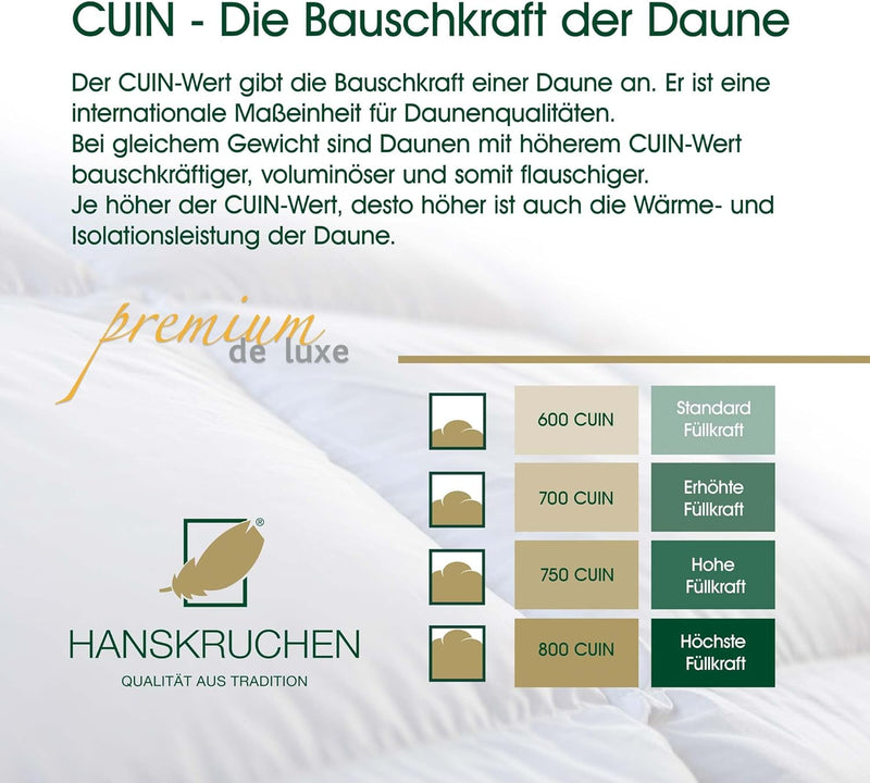 HANSKRUCHEN Premium de Luxe Daunendecke 260x220 cm - Leicht / Übergang - Made in Germany Kassettende