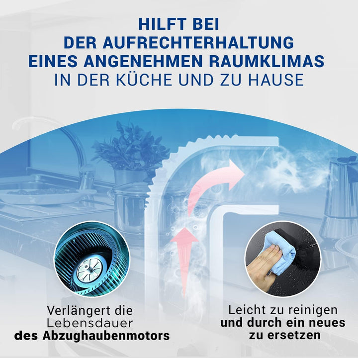 VIOKS Aktivkohlefilter Dunstabzug Filter SET 4x / Kohlefilter 430x175mm Ersatz für Neff Dunstabzugsh