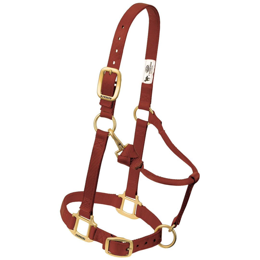 Weaver Leather Average Horse zimt, Average Horse Zimt