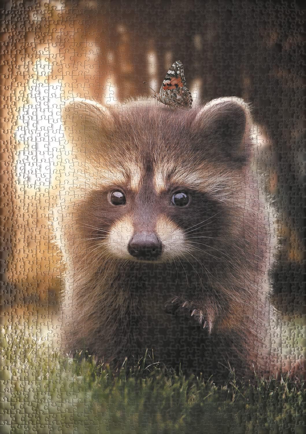 Ulmer Puzzleschmiede - Puzzle „Waschbär sucht Freund“ - Liebreizendes Tiermotiv als 1000 Teile Puzzl