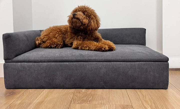 Skraut Home - Schlafsofa Duque, 71x42x24cm, für kleine oder mittelgrosse Hunde – Schlafsofa für Haus