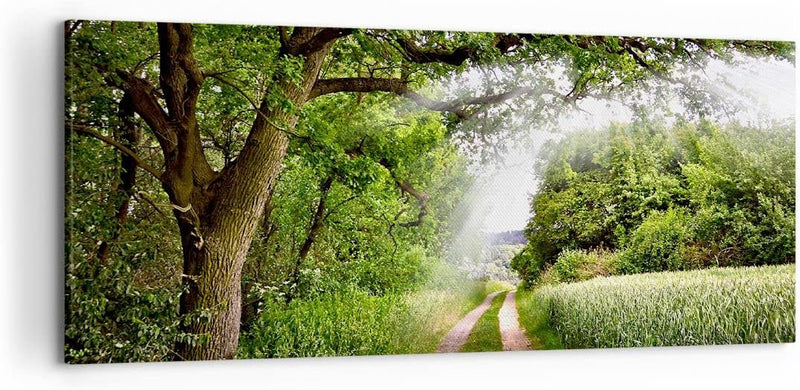 Wandbilder Dekoration Wohnzimmer Pfad Natur Wald Grün Panorama Bilder auf Leinwand 120x50cm Leinwand