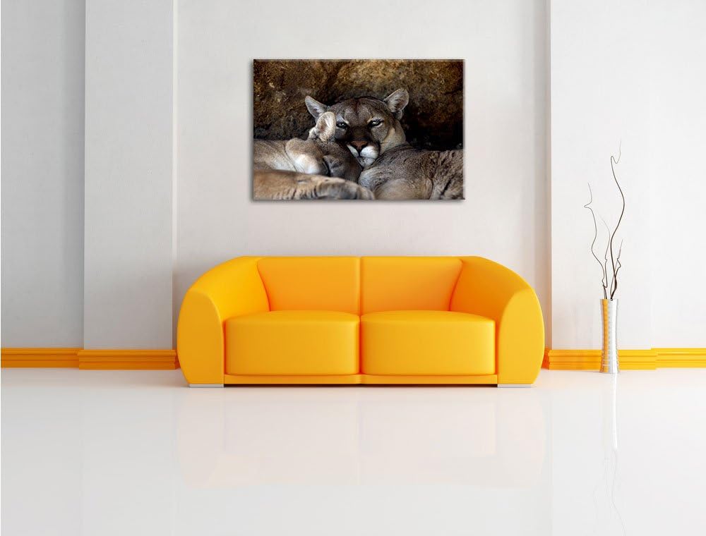 verschlafenes Puma Paar, Format: 100x70 auf Leinwand, XXL riesige Bilder fertig gerahmt mit Keilrahm