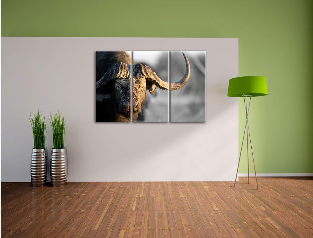 Pixxprint Kaffernbüffel mit kräftigen Hörnern B&W Detail 3-Teiler Leinwandbild 120x80 Bild auf Leinw