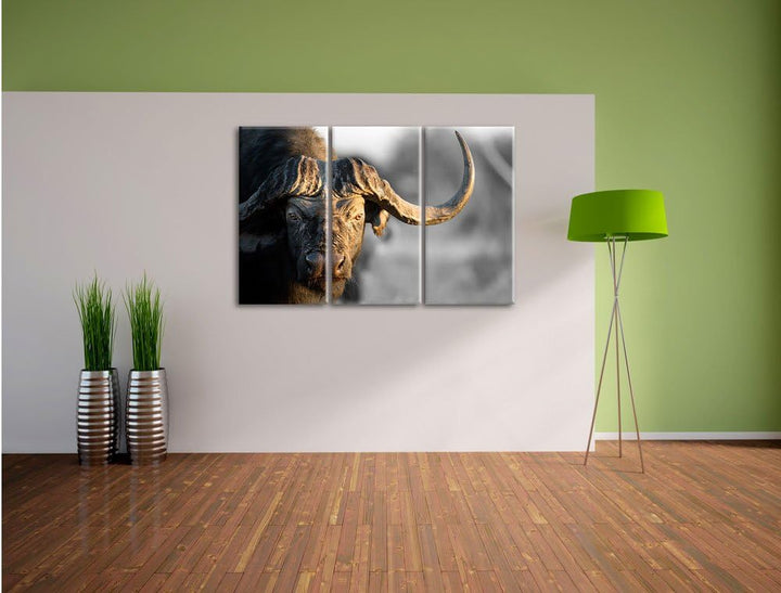 Pixxprint Kaffernbüffel mit kräftigen Hörnern B&W Detail 3-Teiler Leinwandbild 120x80 Bild auf Leinw