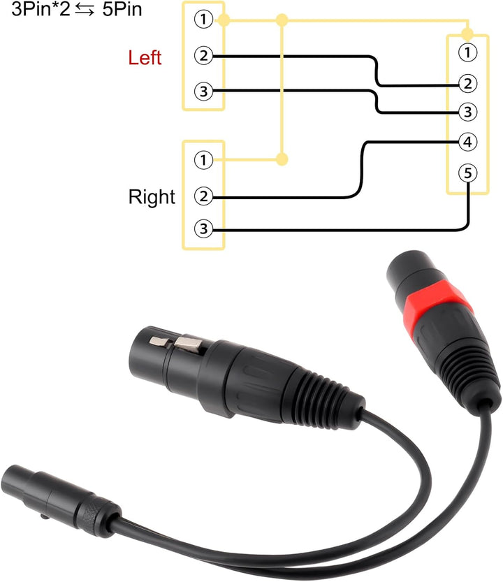 Mini-XLR 5Pin TA5F auf 2X XLR 3Pin Adapterkabel Kompatibel mit Presonus HP2 Kopfhörerverstärker