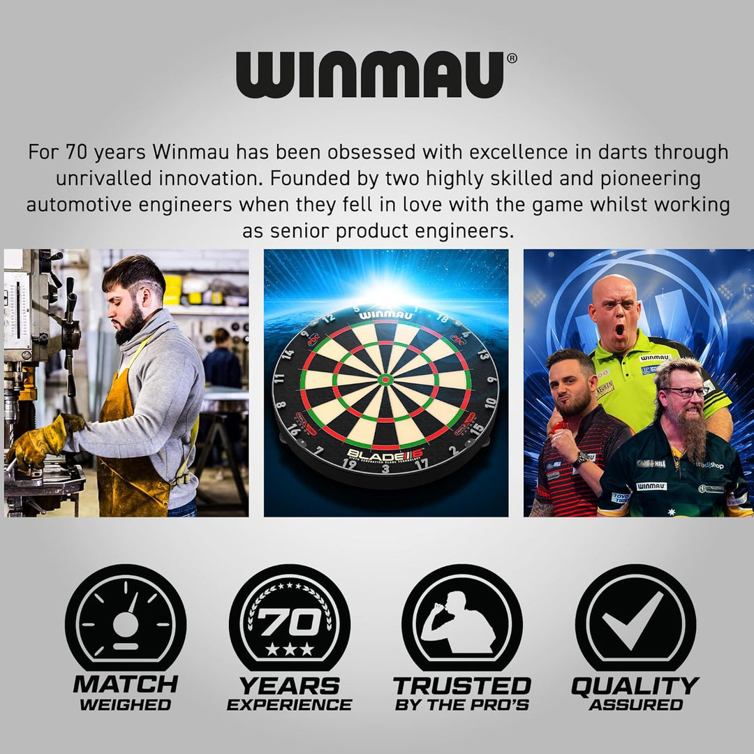 WINMAU Professionelles Dart Set