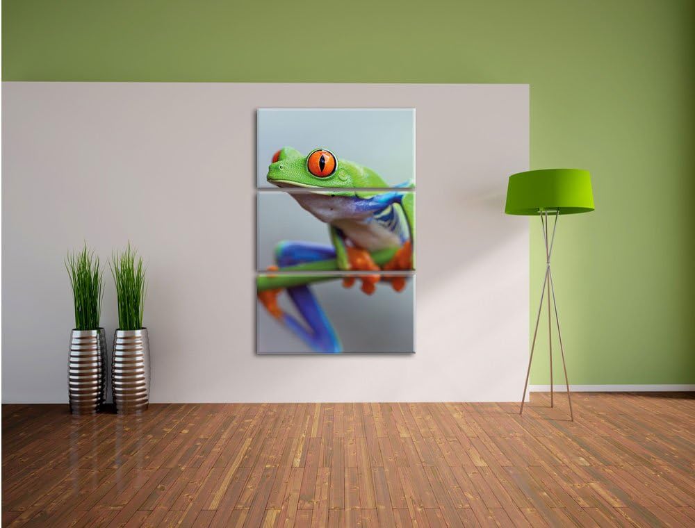 Pixxprint Grüner Frosch auf AST 3-Teiler Leinwandbild 120x80 Bild auf Leinwand