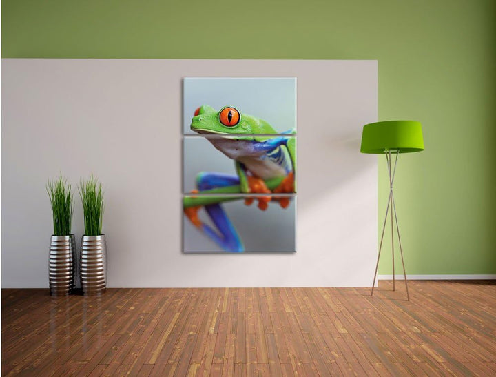 Pixxprint Grüner Frosch auf AST 3-Teiler Leinwandbild 120x80 Bild auf Leinwand