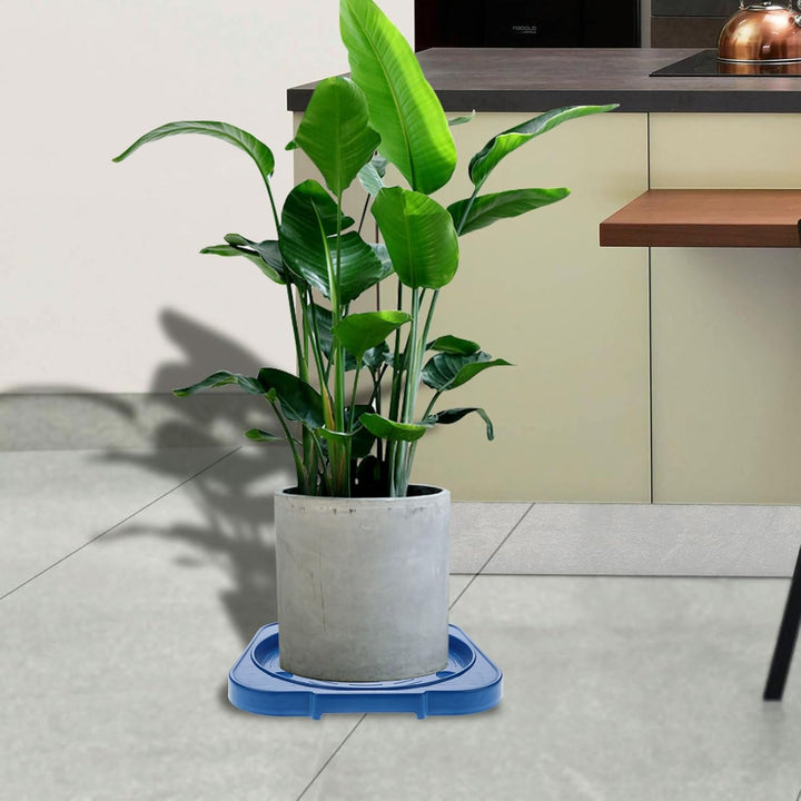 Zerodeko Mobiler Gasflaschenständer Mit Rollen Verdickte Bodenwanne Für 11Kg Propangas Flaschen Robu