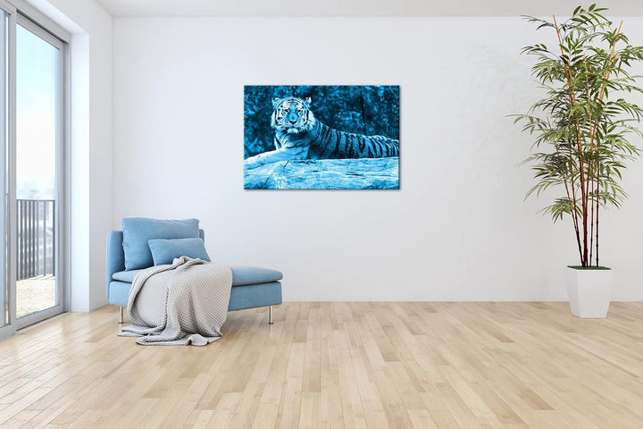 deyoli anmutiger ruhiger Tiger Format 80x60 Effekt: Monocrome Blau als Leinwandbild, Motiv fertig ge