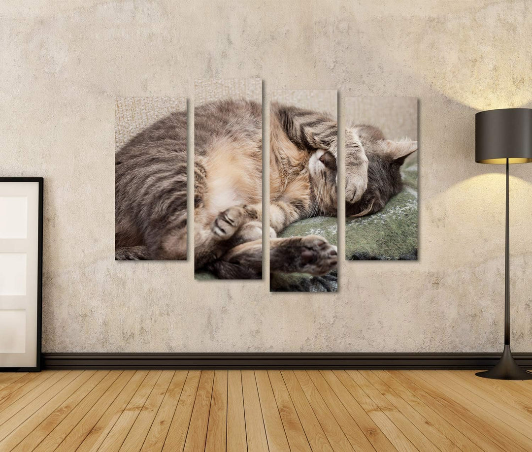 islandburner Bild auf Leinwand Schlafende Katze Bilder Wandbilder Poster, Leinwand 130x80cm - 4 Teil