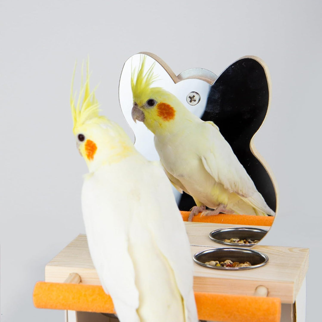 Vogelspiegel mit Sitzstange, Vogelsitzstange mit Spiegel und 2 Fütterung Tassen, Vogelspielzeug, Spi