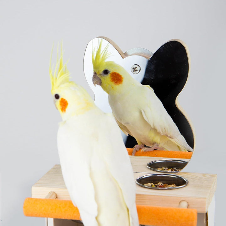 Vogelspiegel mit Sitzstange, Vogelsitzstange mit Spiegel und 2 Fütterung Tassen, Vogelspielzeug, Spi