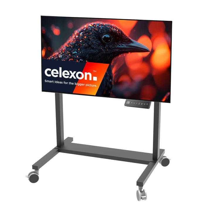 celexon TV/Displayrollwagen Professional Adjust-42100MB schwarz | für 42-100" Bildschirme bis 120kg