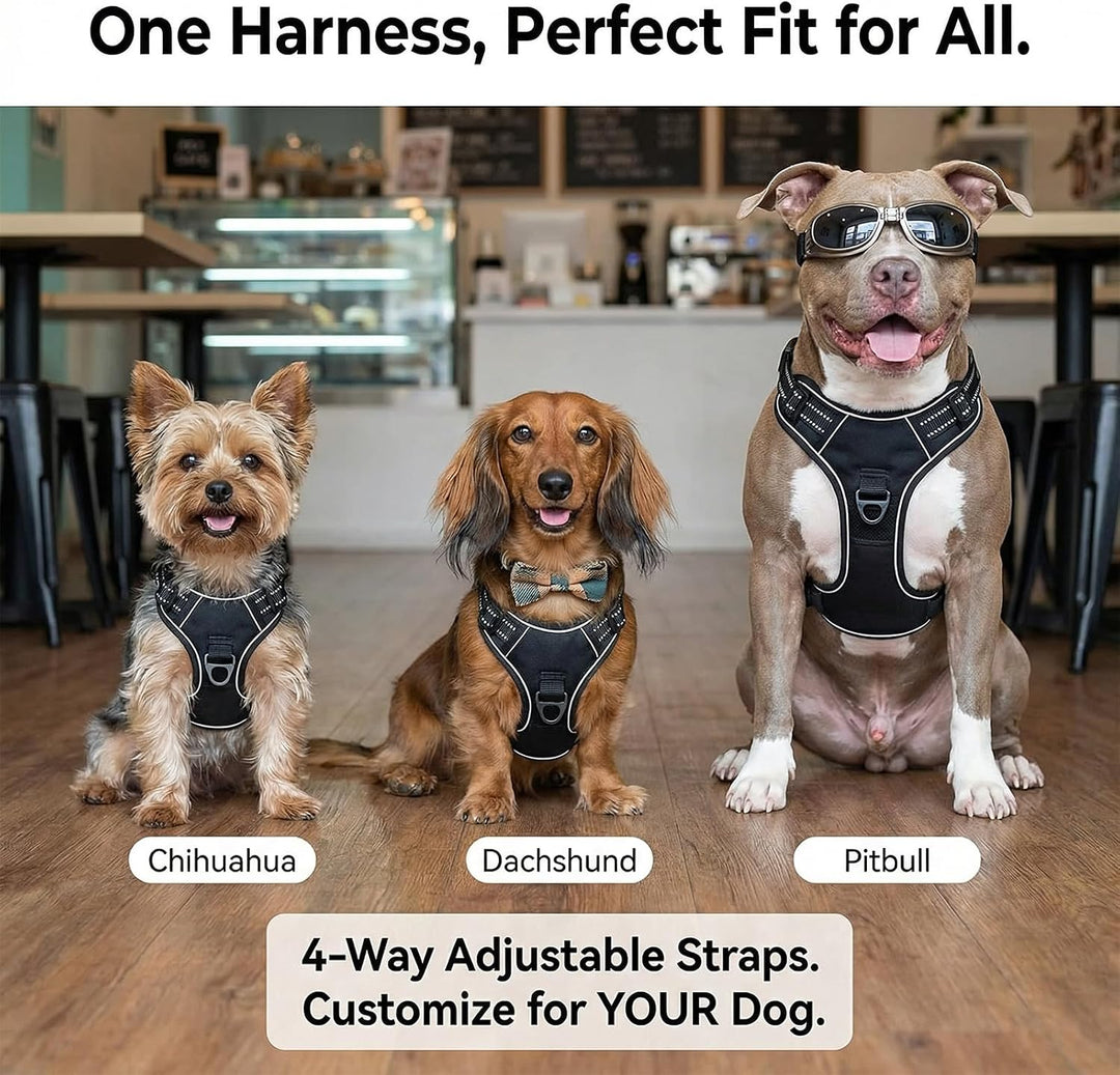 Hundegeschirr mit Griff， mittelgrosse & Grosse Hunde - Hunde Geschirr，Atmungsaktiv Reflexstreifen Br