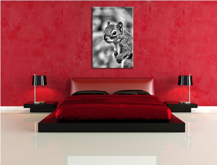 Pixxprint kleines wachsames Eichhörnchen als Leinwandbild | Grösse: 100x70 cm | Wandbild | Kunstdruc