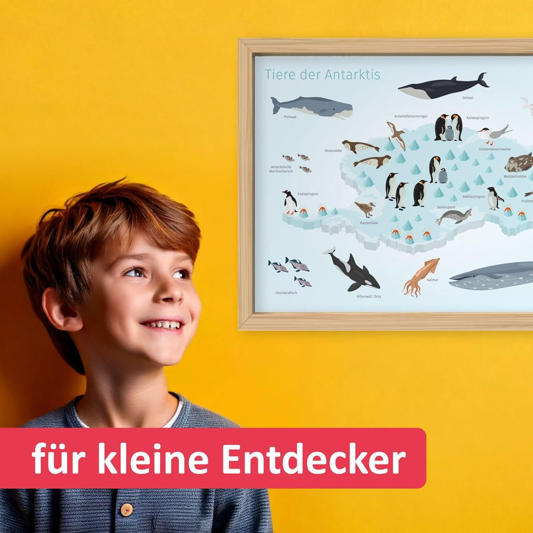 Kinder Lernposter - Tiere der Antarktis - in 3 Grössen - Wal Delfin Pinguin Robbe Südpol Wanddeko Ki