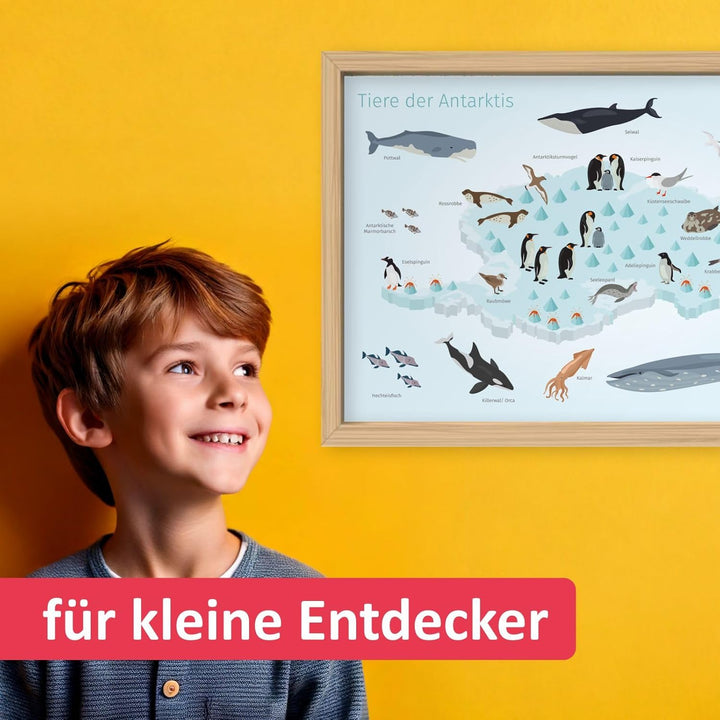 Kinder Lernposter - Tiere der Antarktis - in 3 Grössen - Wal Delfin Pinguin Robbe Südpol Wanddeko Ki