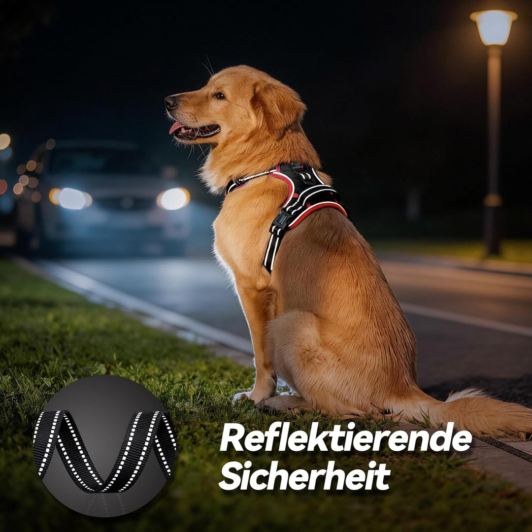 PHOEPET Verstellbares Sicherheitsgeschirr für mittlere und grosse Hunde mit gepolstertem Griff und r