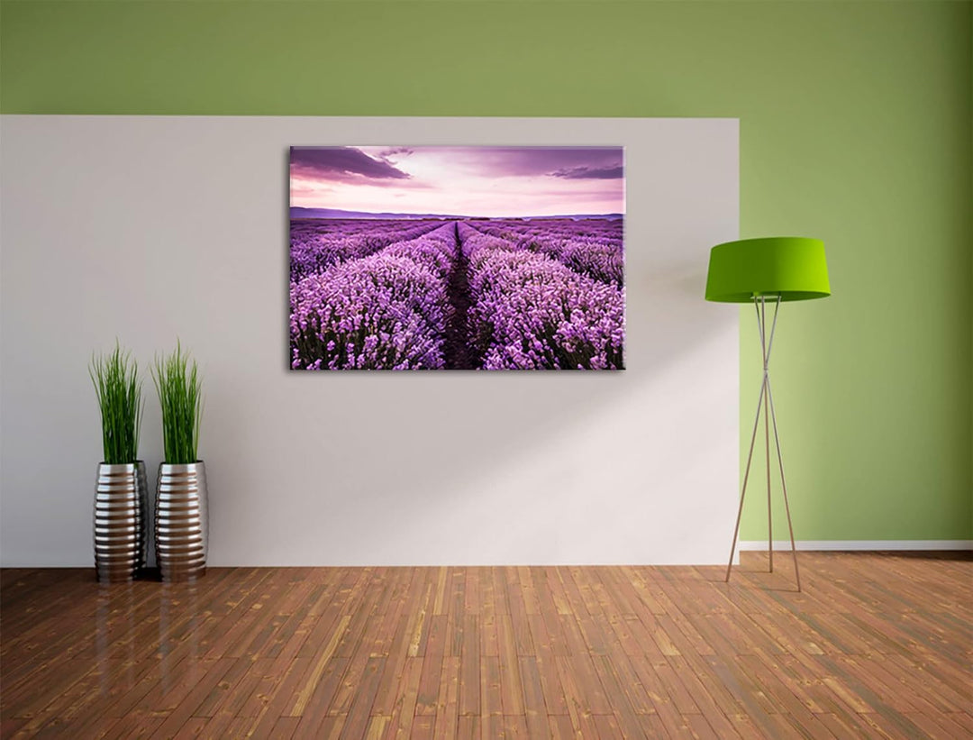 Pixxprint blühendes Lavendelfeld als Leinwandbild | Grösse: 100x70 cm | Wandbild | Kunstdruck | fert