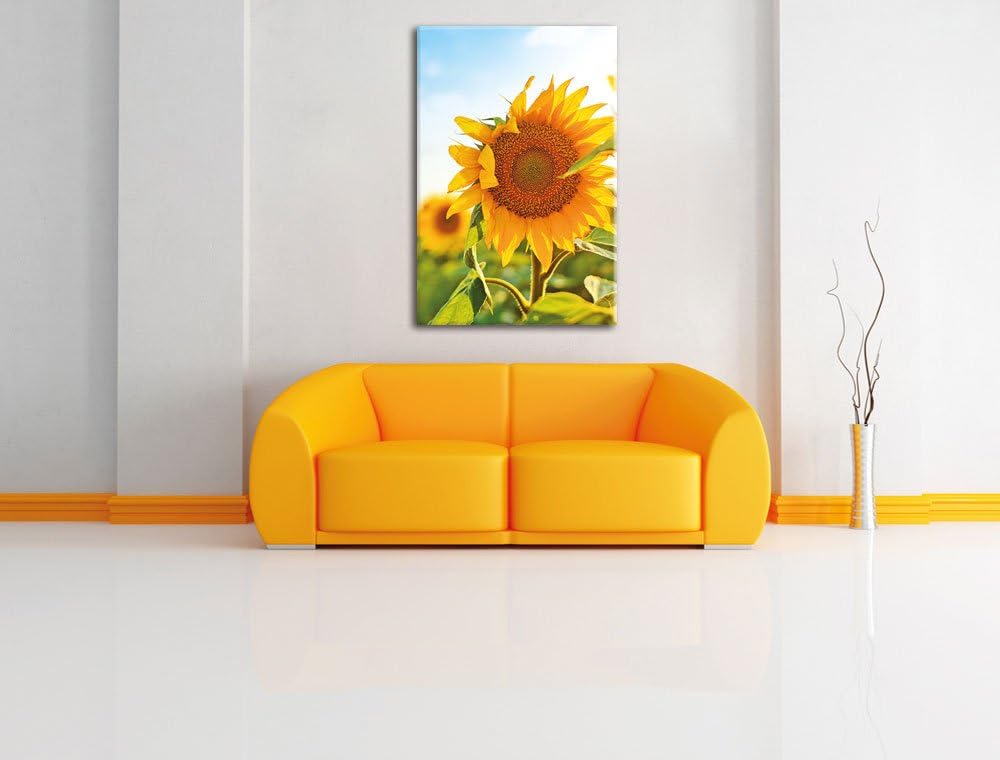 Pixxprint Sonnenblumenfeld SonnenblumeSonne als Leinwandbild/Grösse: 100x70 / Wandbild/Kunstdruck/fe