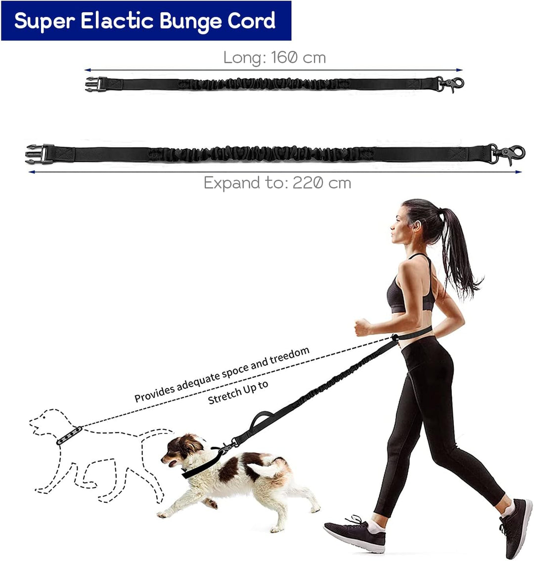 Edipets, Joggingleine Hunde, Freihändig, Laufen, Wandern, Gurtband, Anti-Stress, Reflektierend, 160-