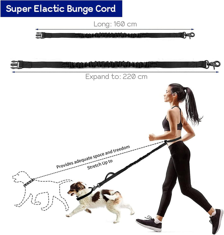 Edipets, Joggingleine Hunde, Freihändig, Laufen, Wandern, Gurtband, Anti-Stress, Reflektierend, 160-