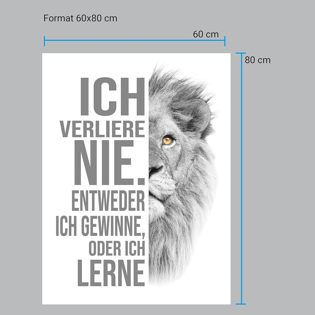 wandmotiv24 Poster als Wanddeko, Grösse 80x60cm, ich verliere nie, Weiss, Löwe, Moderne Wanddeko, Wa
