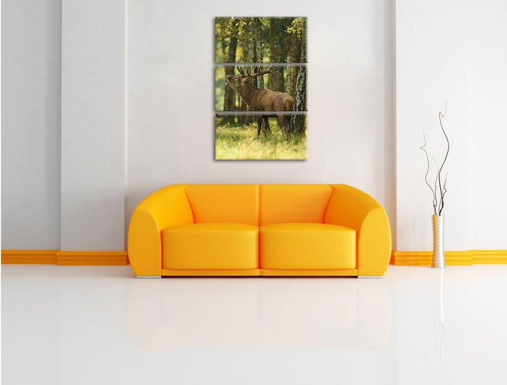 Pixxprint Hirsch im Wald 3-Teiler Leinwandbild 120x80 Bild auf Leinwand
