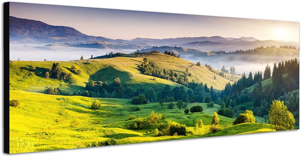 Paul Sinus Art Panoramabild auf Leinwand und Keilrahmen 150x50cm Ukraine Wiesen Hügel Wald Morgenlic