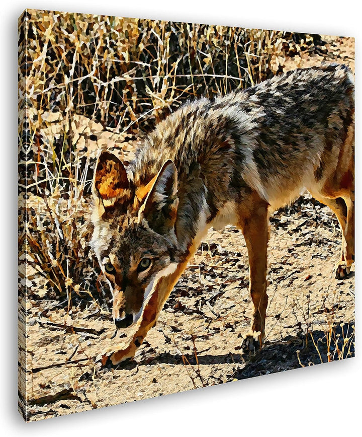 deyoli Fixierter Wolf in Wüstenlandschaft Format: 70x70 Effekt: Zeichnung als Leinwandbild, Motiv au