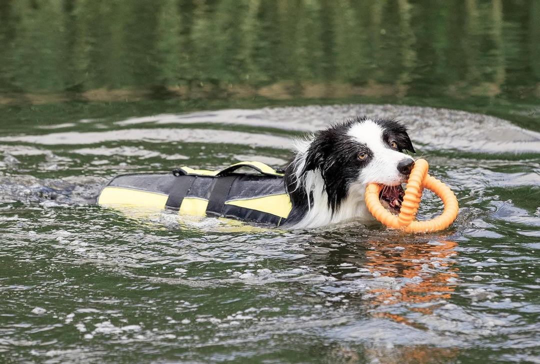 Trixie 30127 Schwimmweste für Hunde, M, schwarz/gelb schwarz/gelb M(1er Pack), schwarz/gelb M(1er Pa