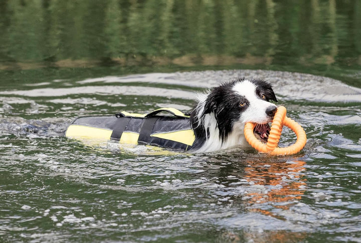 Trixie 30127 Schwimmweste für Hunde, M, schwarz/gelb schwarz/gelb M(1er Pack), schwarz/gelb M(1er Pa