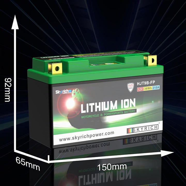 Skyrich HJT9B-FP Starterbatterie