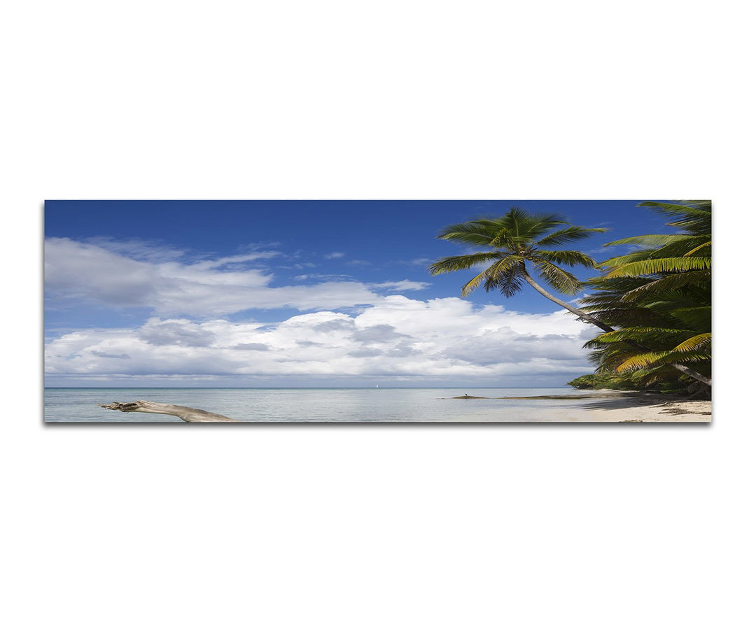Paul Sinus Art Panoramabild auf Leinwand und Keilrahmen 150x50cm Strand Meer Wolken Palmen Holzstamm