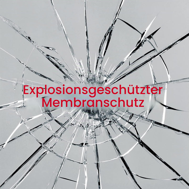 PETAFLOP Wandspiegel 122 x 35,5 cm, Ganzkörperspiegel mit explosionssicherer Membranschutz und schwa