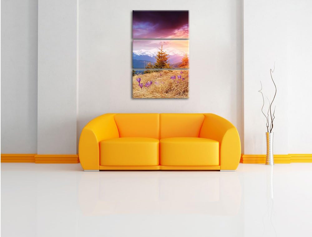 Pixxprint Krokusse auf Hochalmwiese in Alpen 3-Teiler Leinwandbild 120x80 Bild auf Leinwand