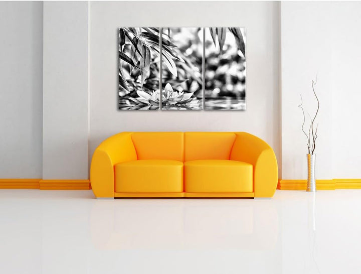 Pixxprint Weisse Seerose im Wasser Wellness als Leinwandbild/Grösse: 3 Teilig (120x80) cm/Wandbild/K